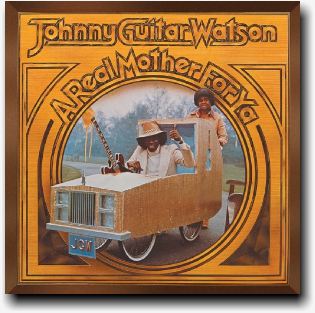 johnny_guitar_watson-a_real_mother_for_ ya.jpg